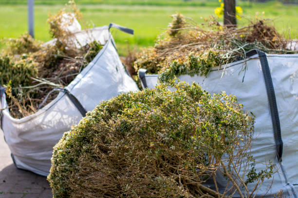 Best Shed Removal  in Dovesville, SC